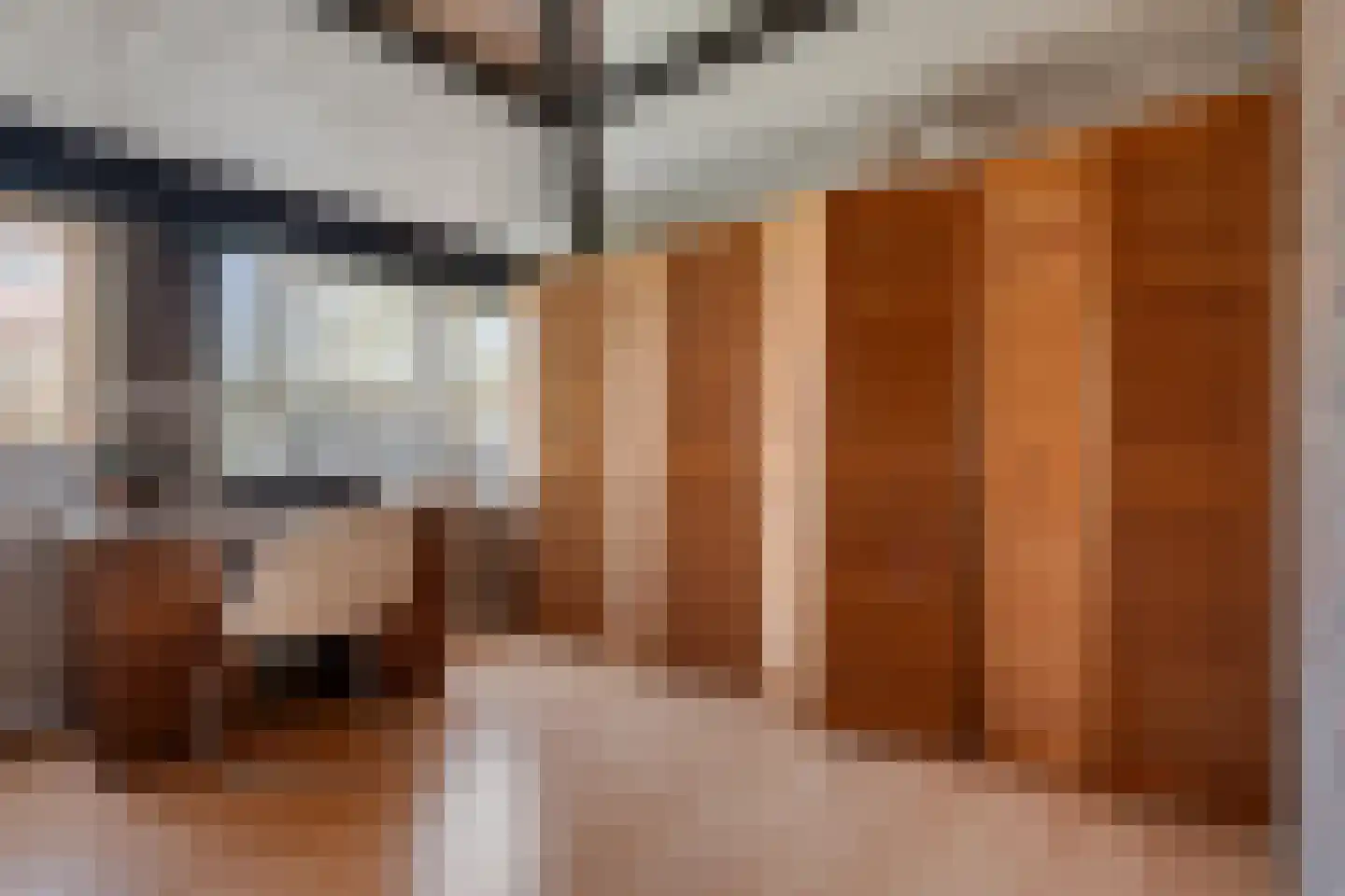 Bachlaan 26 Oss thumbnail 27