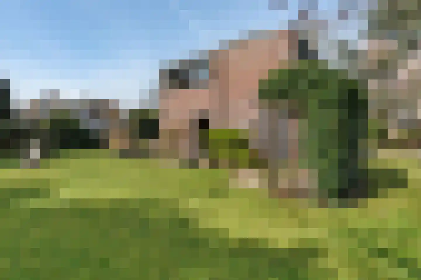 Bachlaan 26 Oss thumbnail 34