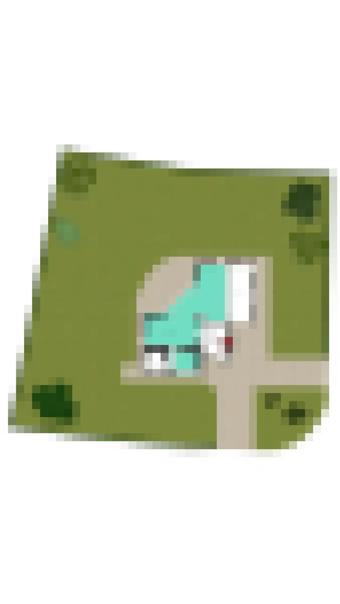 Bachlaan 26 Oss thumbnail 39