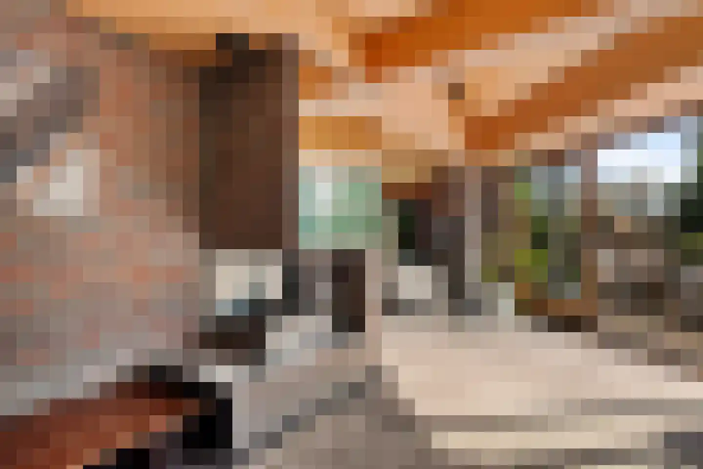 Bachlaan 26 Oss thumbnail 8