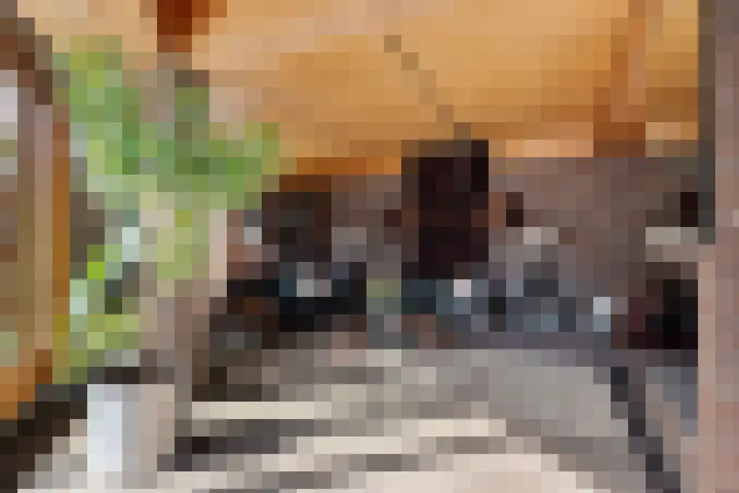 Bachlaan 26 Oss thumbnail 9