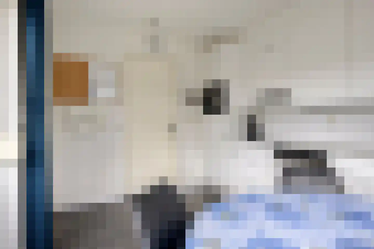 Bachlaan 27 Goes thumbnail 16