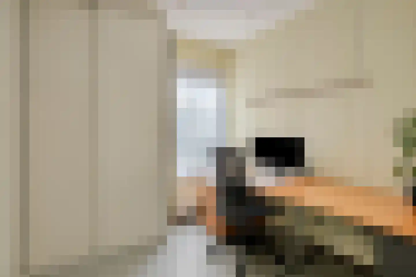 Bachlaan 27 Goes thumbnail 18