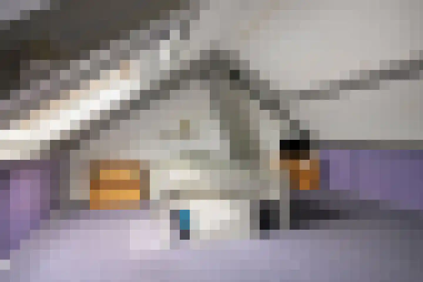 Bachlaan 27 Goes thumbnail 31