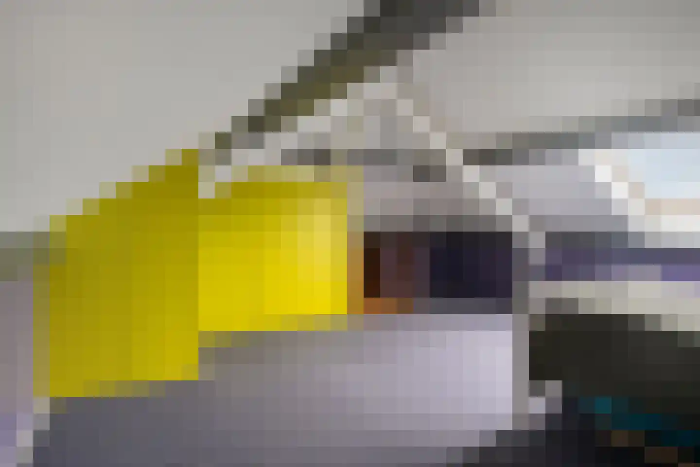 Bachlaan 27 Goes thumbnail 32