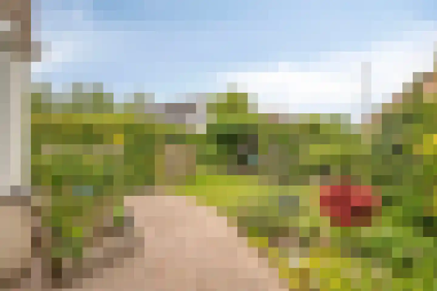 Bachlaan 27 Goes thumbnail 33