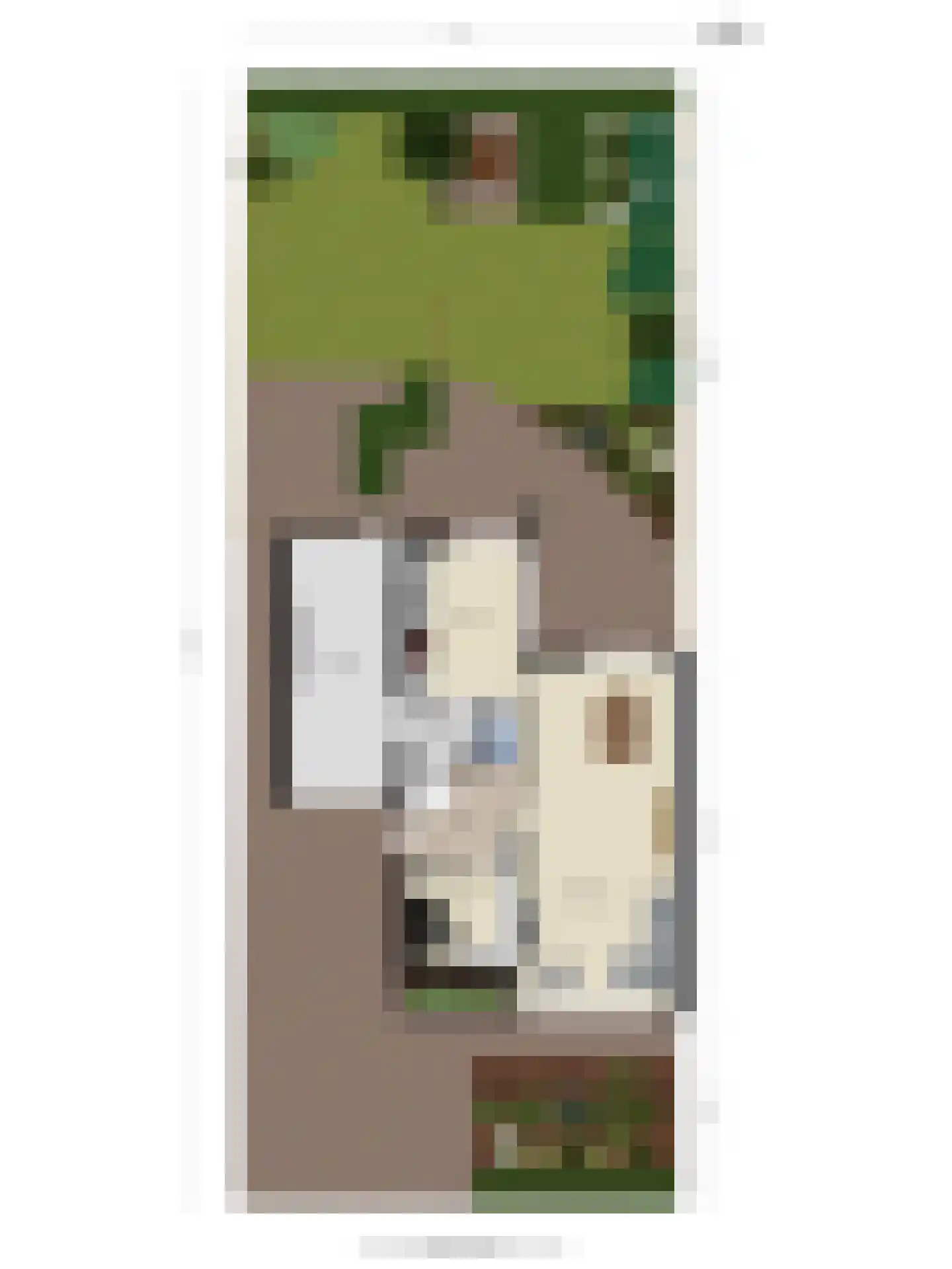 Bachlaan 27 Goes thumbnail 42