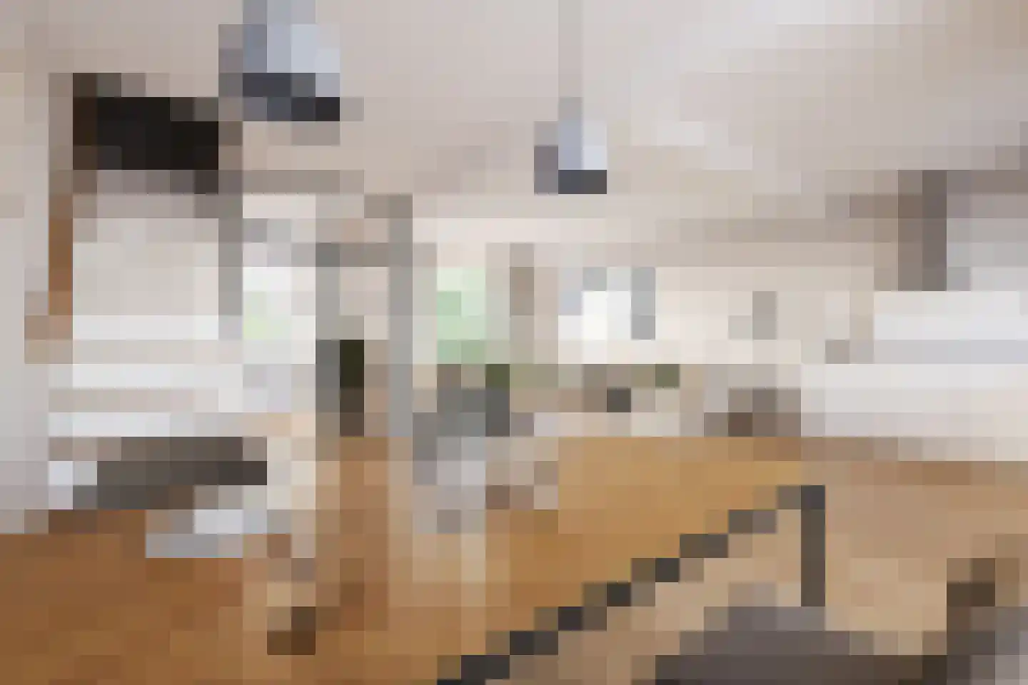 Bachlaan 28 Heesch thumbnail 5