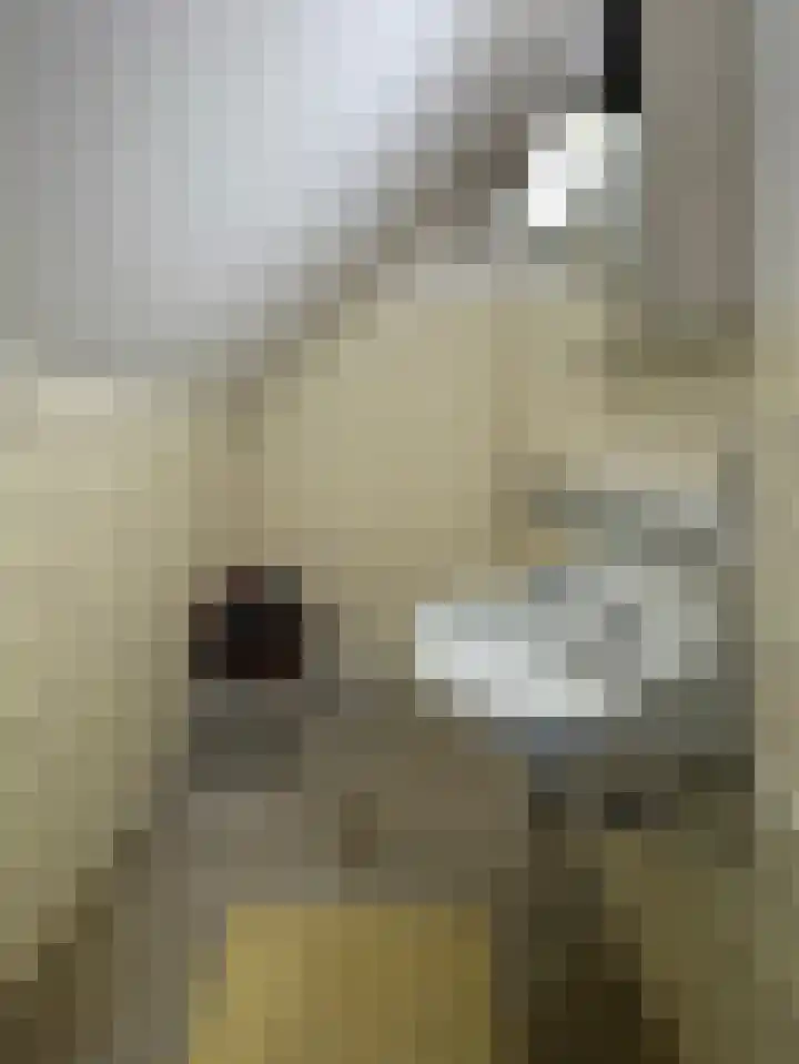Bachlaan 28 Hilversum thumbnail 28