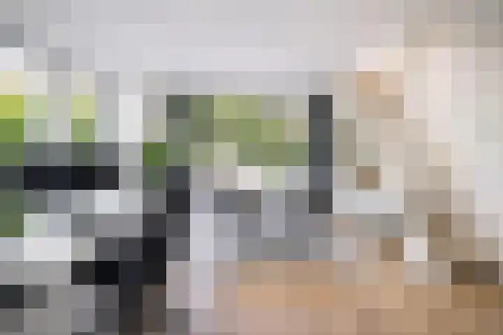 Bachlaan 28 Hilversum thumbnail 31