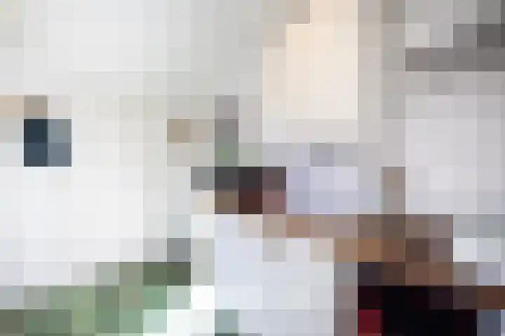 Bachlaan 28 Hilversum thumbnail 35