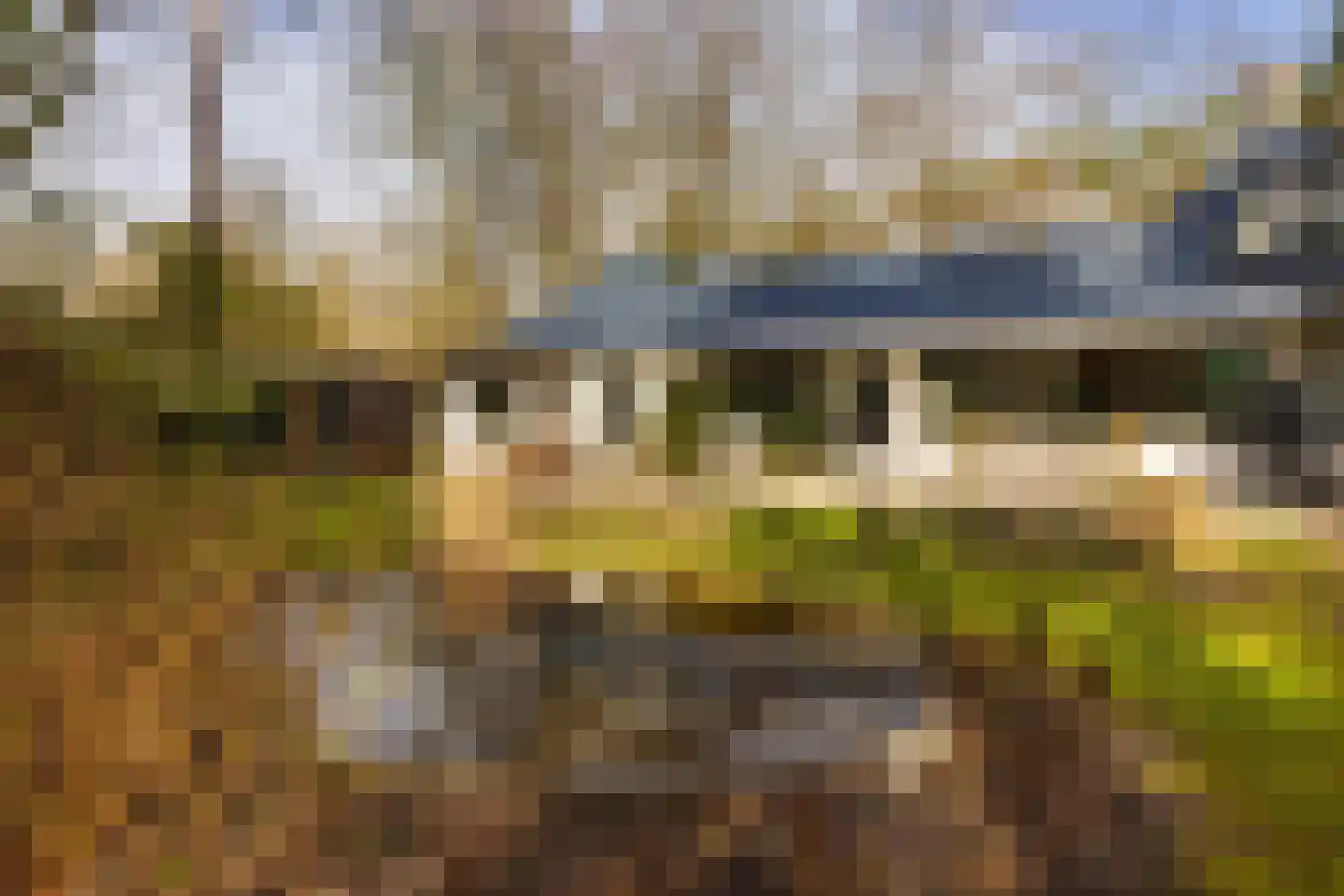 Bachlaan 28 Hilversum thumbnail 44