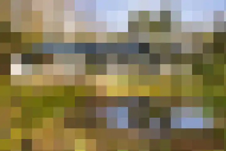 Bachlaan 28 Hilversum thumbnail 45