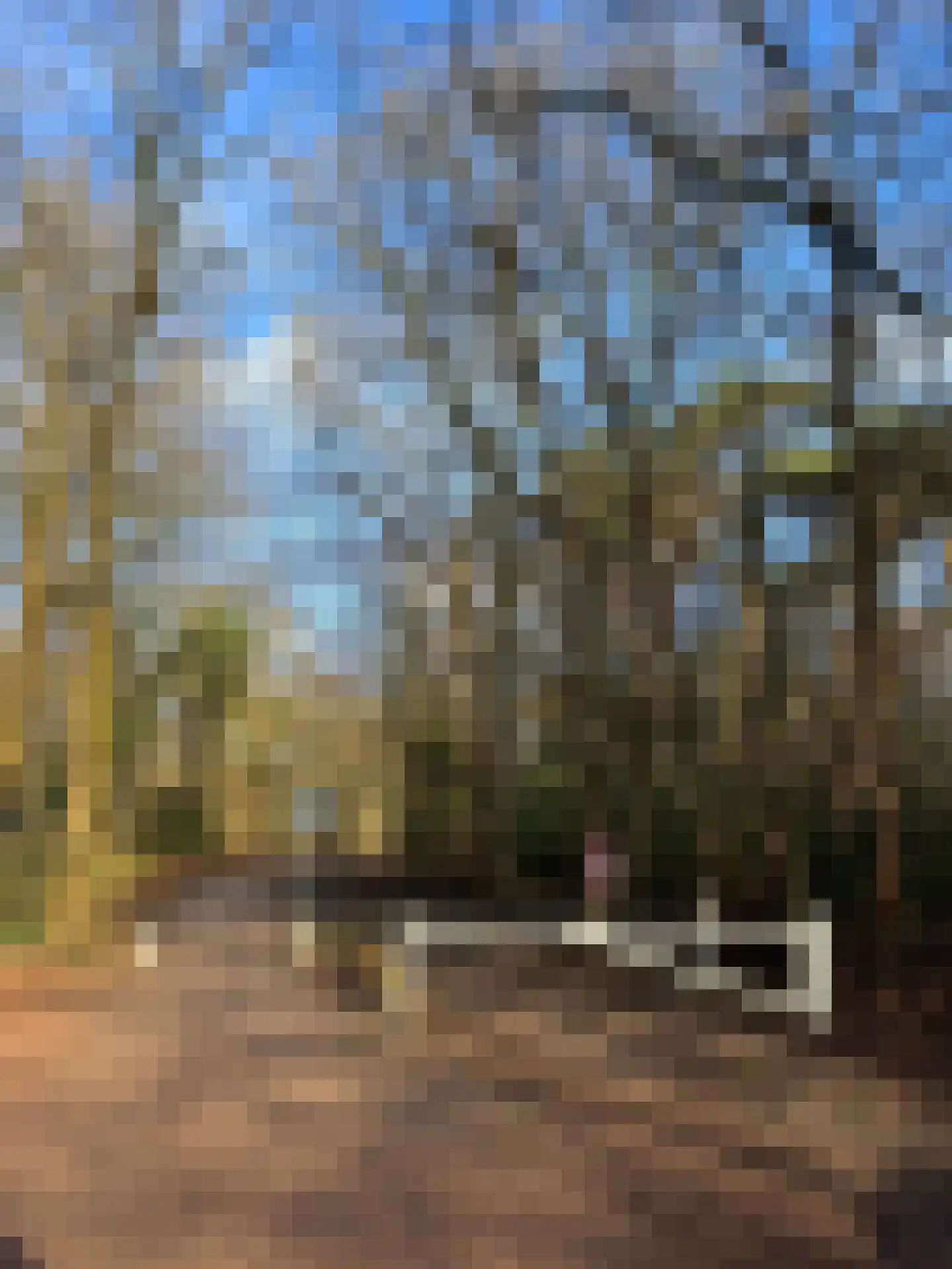 Bachlaan 28 Hilversum thumbnail 47