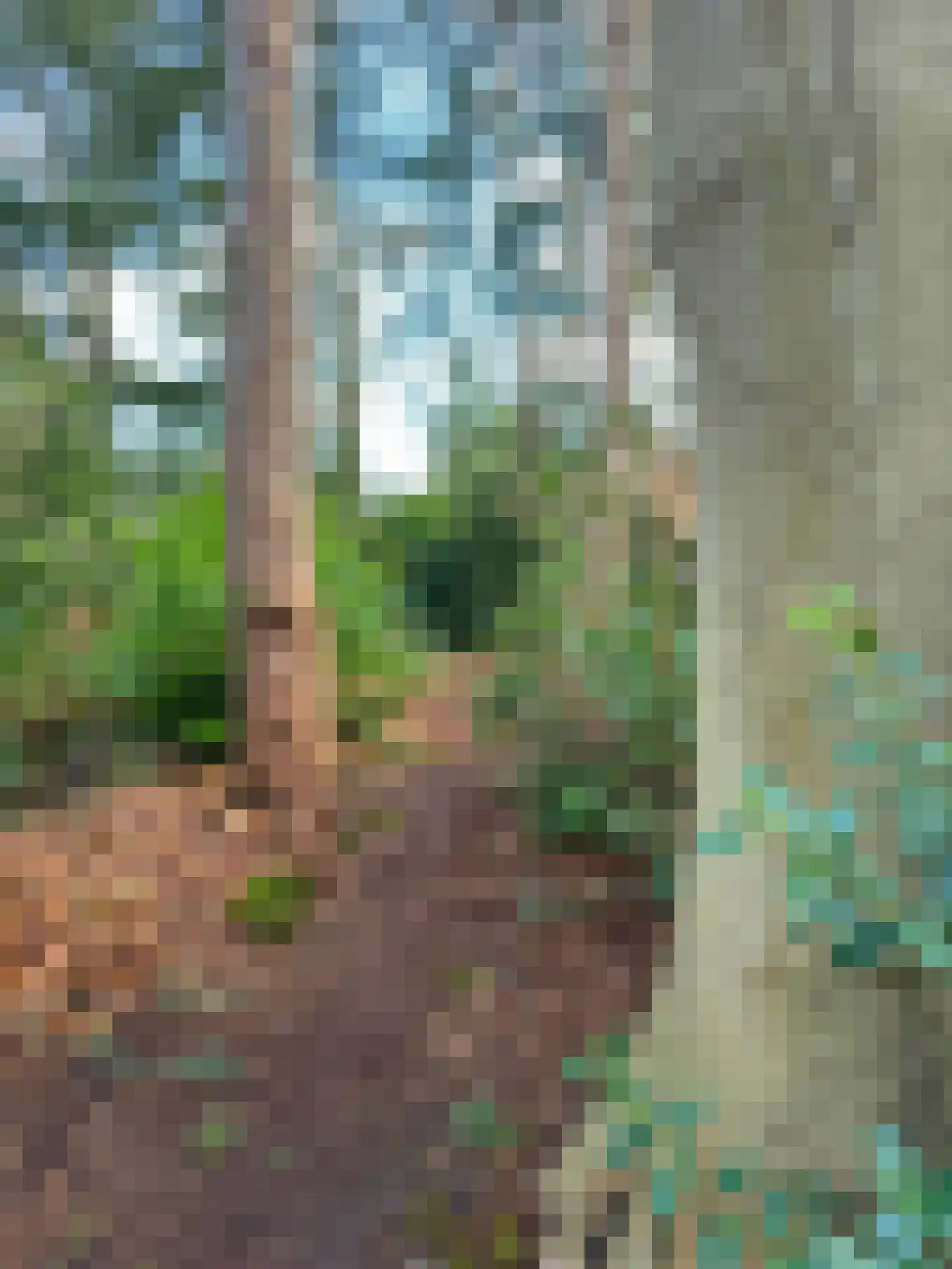 Bachlaan 28 Hilversum thumbnail 50
