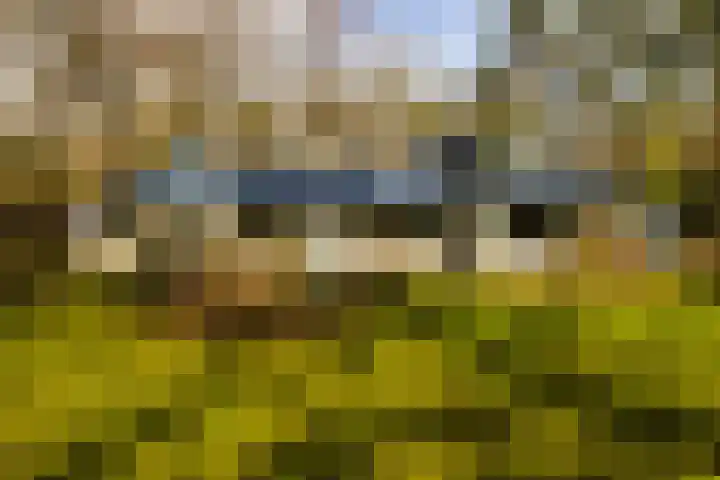 Bachlaan 28 Hilversum thumbnail 53