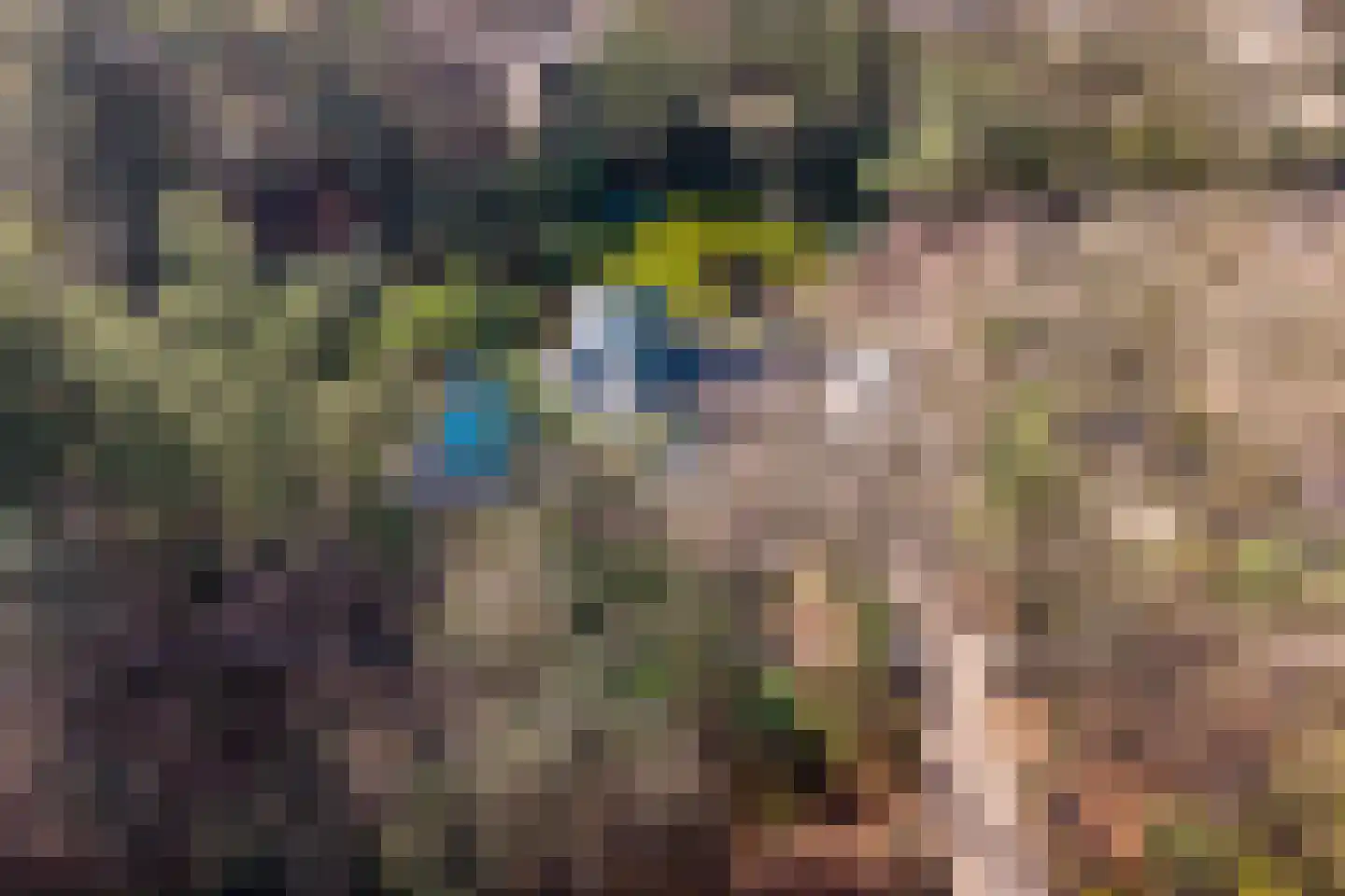 Bachlaan 28 Hilversum thumbnail 61