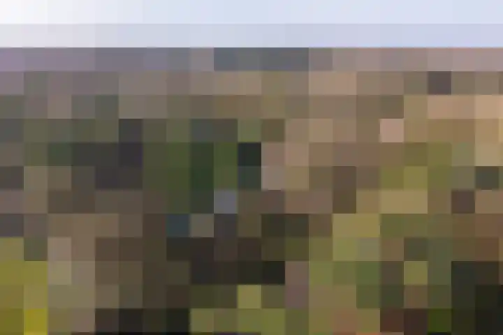 Bachlaan 28 Hilversum thumbnail 66