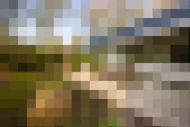 Bachlaan 28 Hilversum thumbnail 8