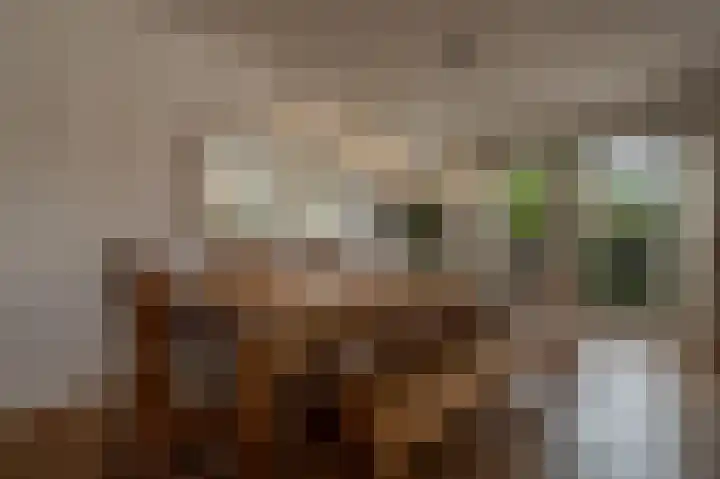 Bachlaan 29 Oud-Beijerland thumbnail 12