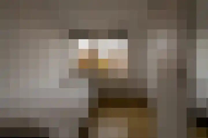 Bachlaan 29 Oud-Beijerland thumbnail 26
