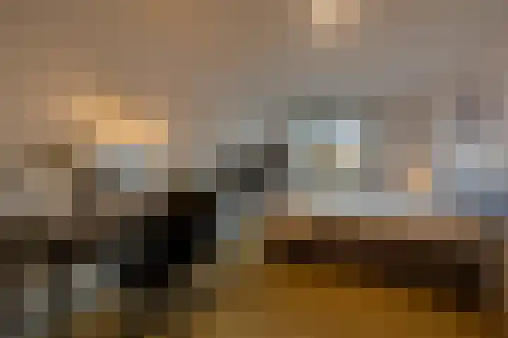 Bachlaan 29 Oud-Beijerland thumbnail 29
