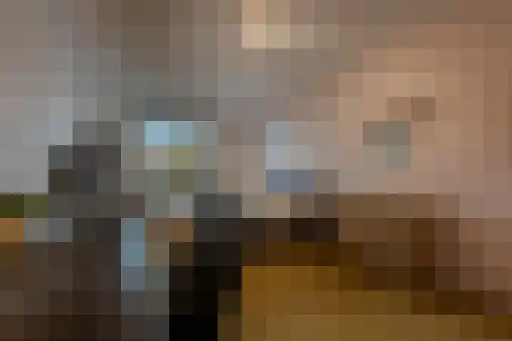 Bachlaan 29 Oud-Beijerland thumbnail 30