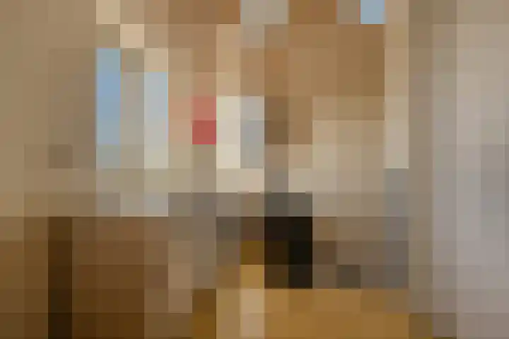 Bachlaan 29 Oud-Beijerland thumbnail 32