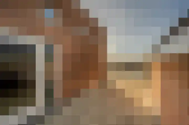 Bachlaan 29 Oud-Beijerland thumbnail 37