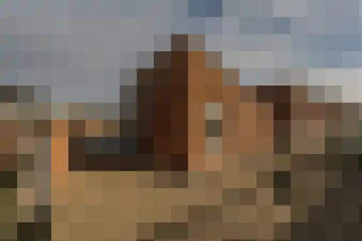 Bachlaan 29 Oud-Beijerland thumbnail 38