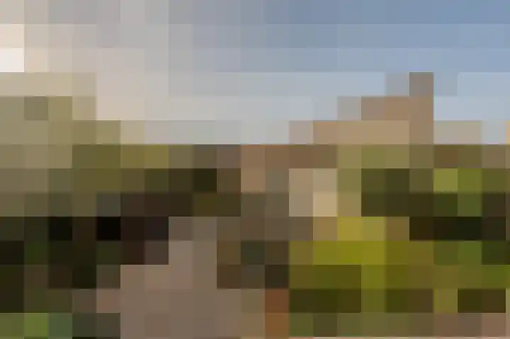 Bachlaan 29 Oud-Beijerland thumbnail 42
