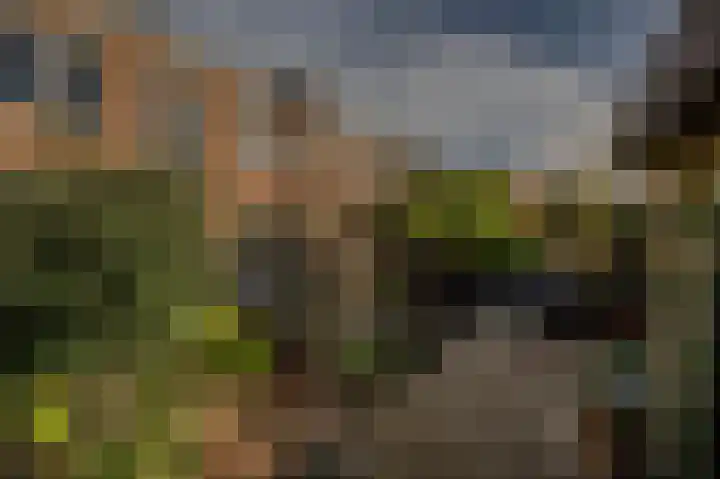 Bachlaan 29 Oud-Beijerland thumbnail 45