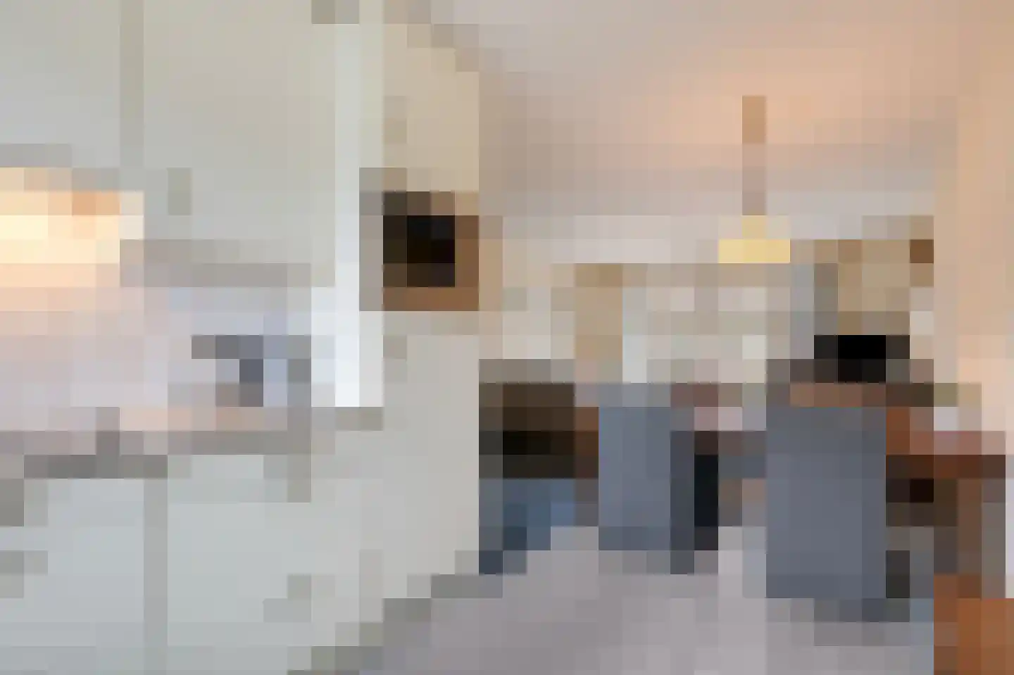 Bachlaan 3 Doetinchem thumbnail 17