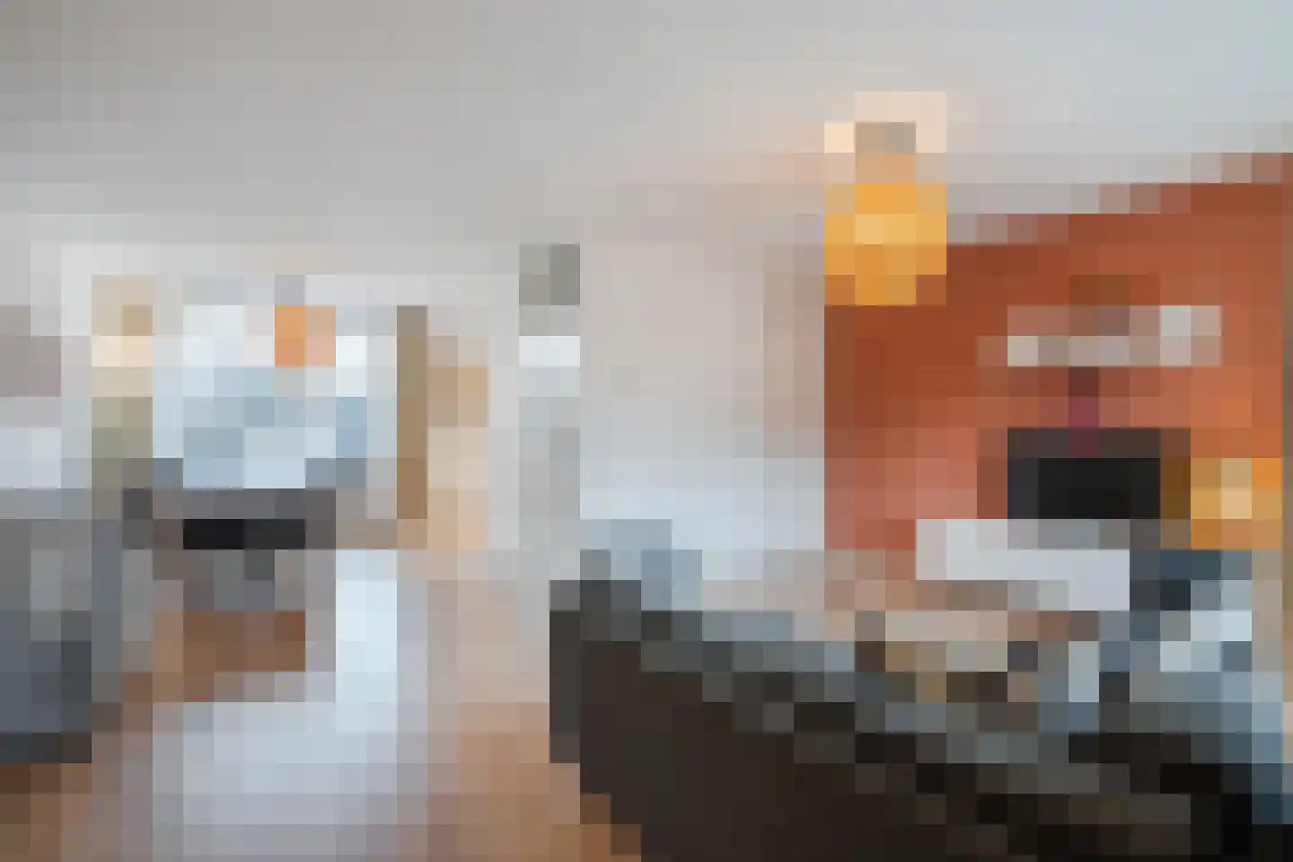 Bachlaan 3 Eindhoven thumbnail 11