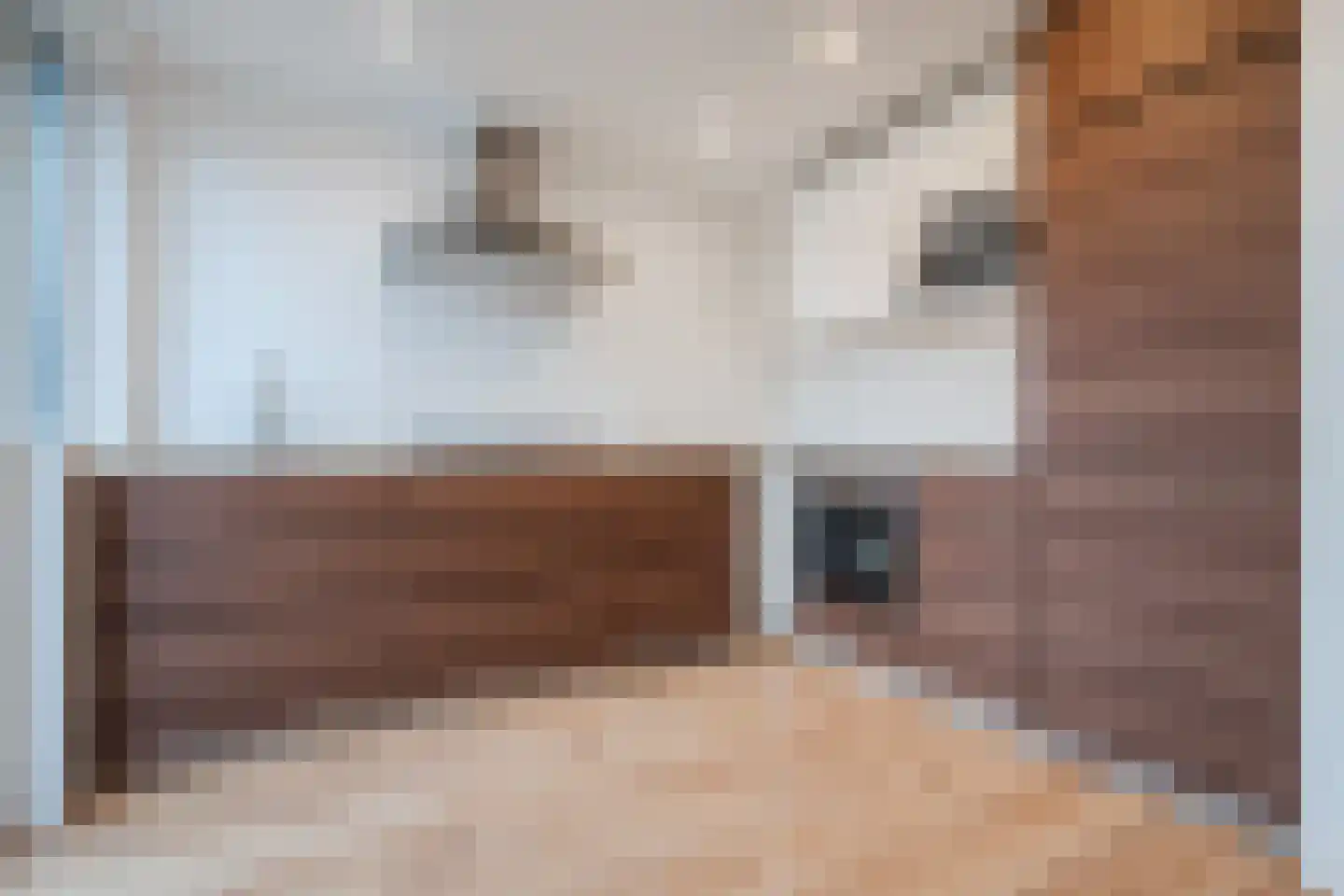 Bachlaan 3 Eindhoven thumbnail 20