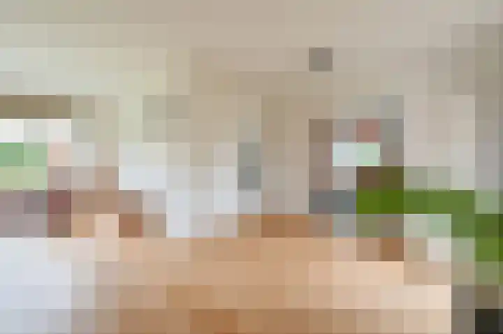 Bachlaan 3 Huizen thumbnail 10