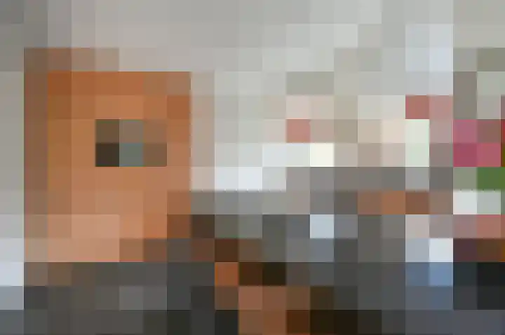 Bachlaan 3 Huizen thumbnail 13