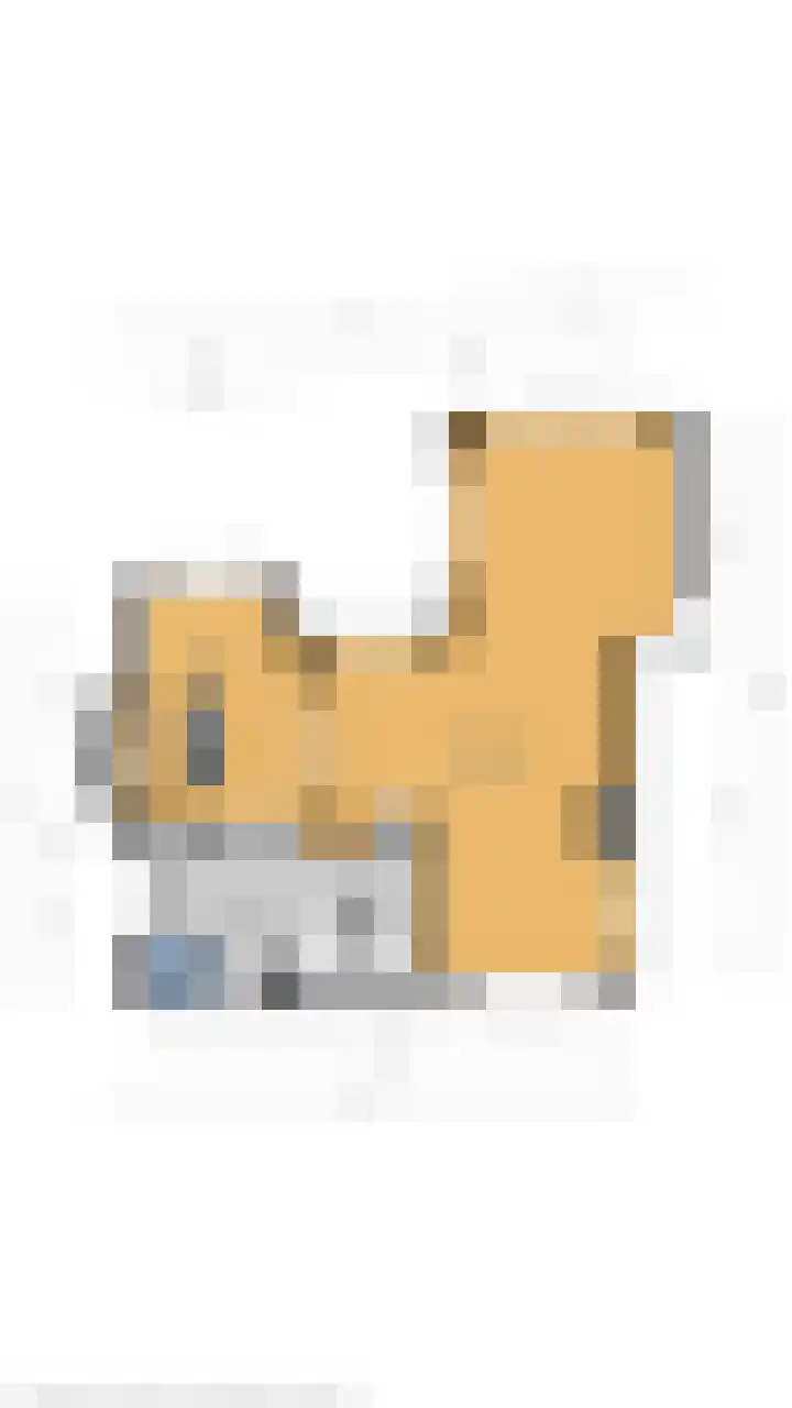 Bachlaan 3 Huizen thumbnail 14