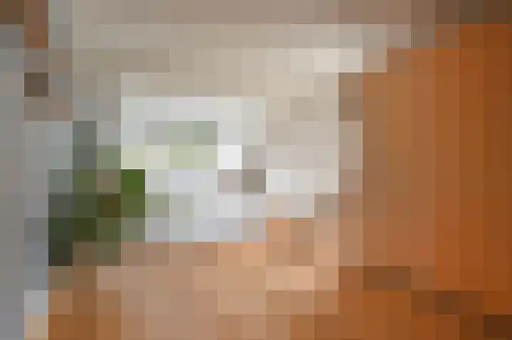 Bachlaan 3 Huizen thumbnail 15