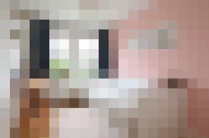 Bachlaan 3 Huizen thumbnail 17