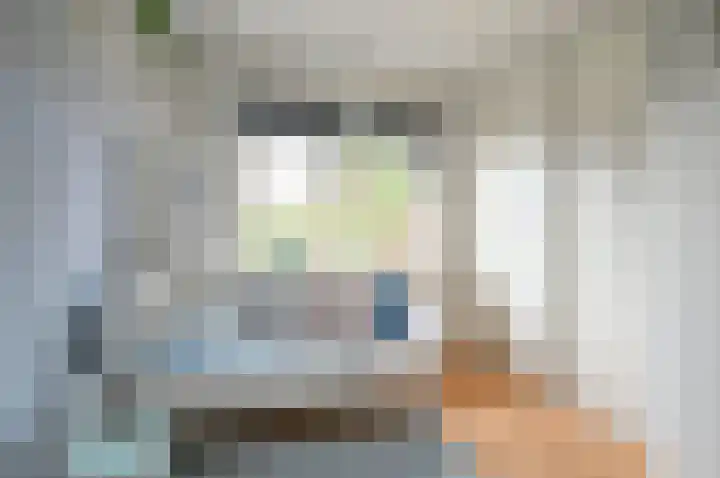 Bachlaan 3 Huizen thumbnail 18