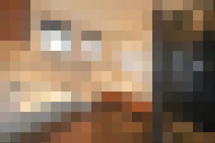 Bachlaan 3 Huizen thumbnail 19