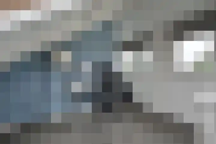 Bachlaan 3 Huizen thumbnail 22