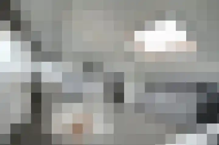 Bachlaan 3 Huizen thumbnail 23