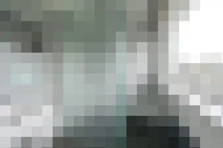 Bachlaan 3 Huizen thumbnail 24