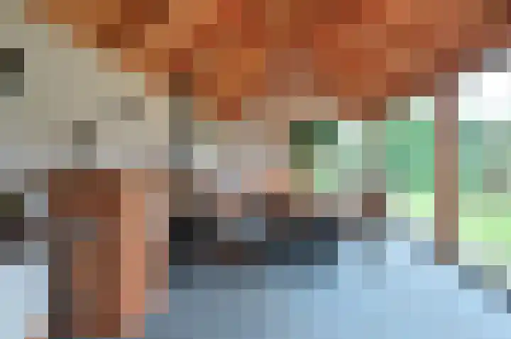 Bachlaan 3 Huizen thumbnail 29