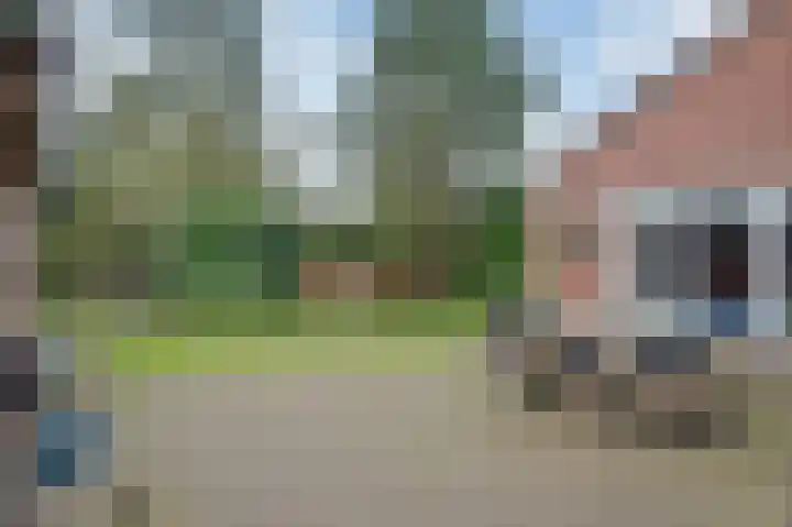 Bachlaan 3 Huizen thumbnail 31