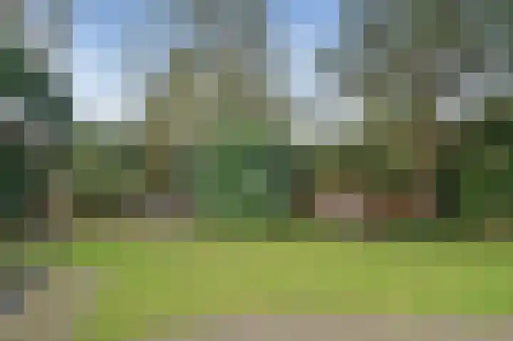 Bachlaan 3 Huizen thumbnail 32