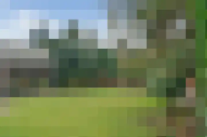 Bachlaan 3 Huizen thumbnail 33