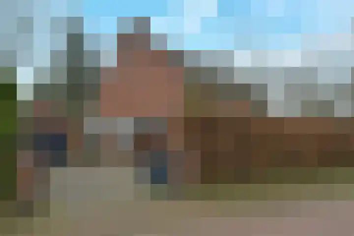 Bachlaan 3 Huizen thumbnail 4